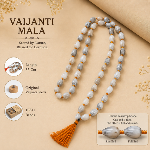 long vijanti mala
