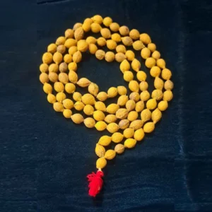 Putrajeevak mala 108+1 Bads Standard Quality Putrajeeva mala Pure Putrajeeva Seeds