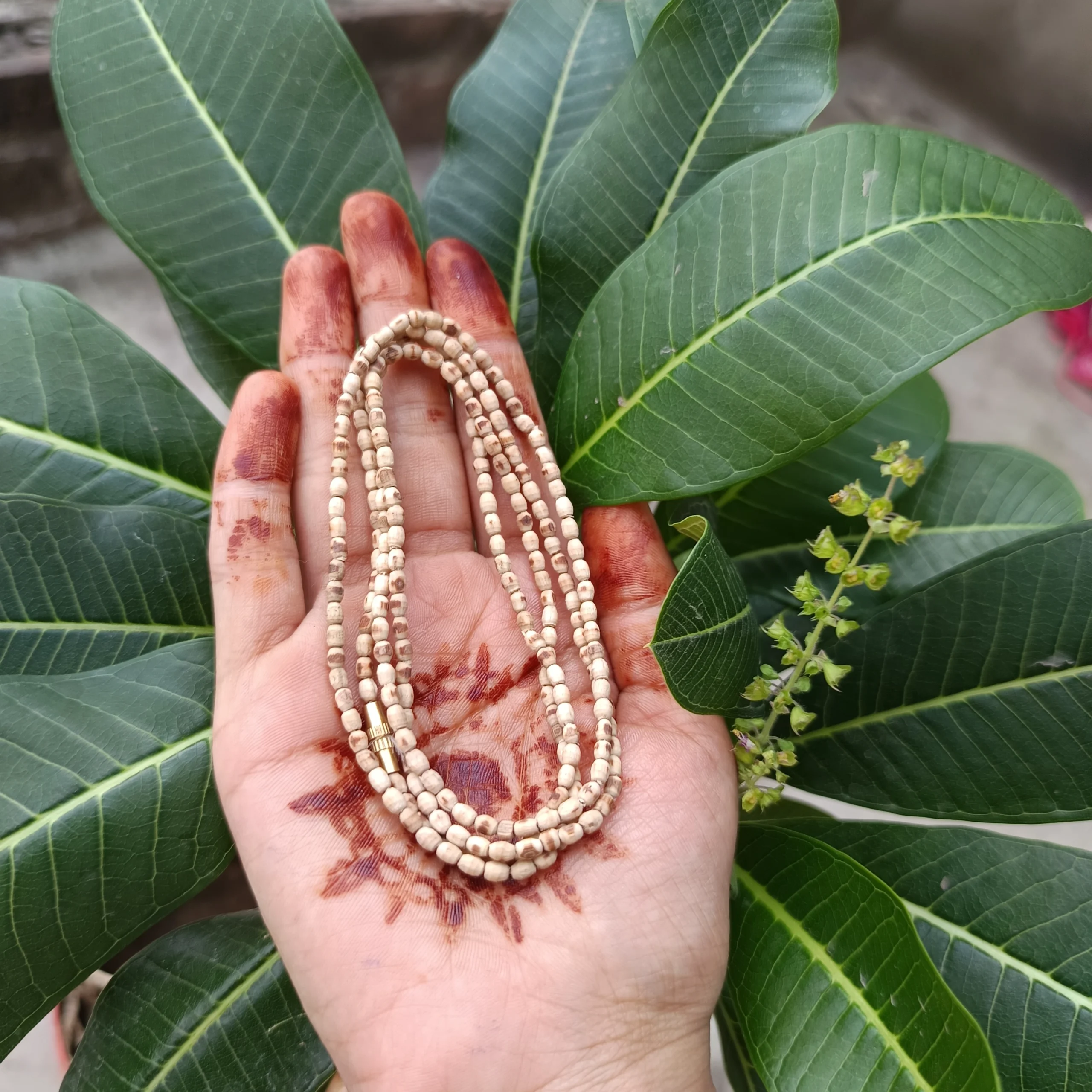 Original Tulsi 2 Round Kanthi Mala Barik Dana for Men & Women - Image 3