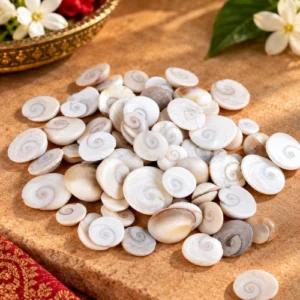 Premium Pure Gomati Chakra - Authentic Sacred Shells for Wealth, Lakshmi Pooja & Vastu