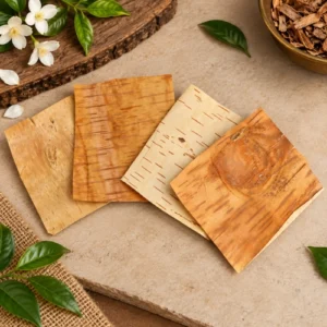 Premium Pure Bhojpatra Sheets (Birch Bark) - Authentic Sacred Canvas for Yantras & Mantras